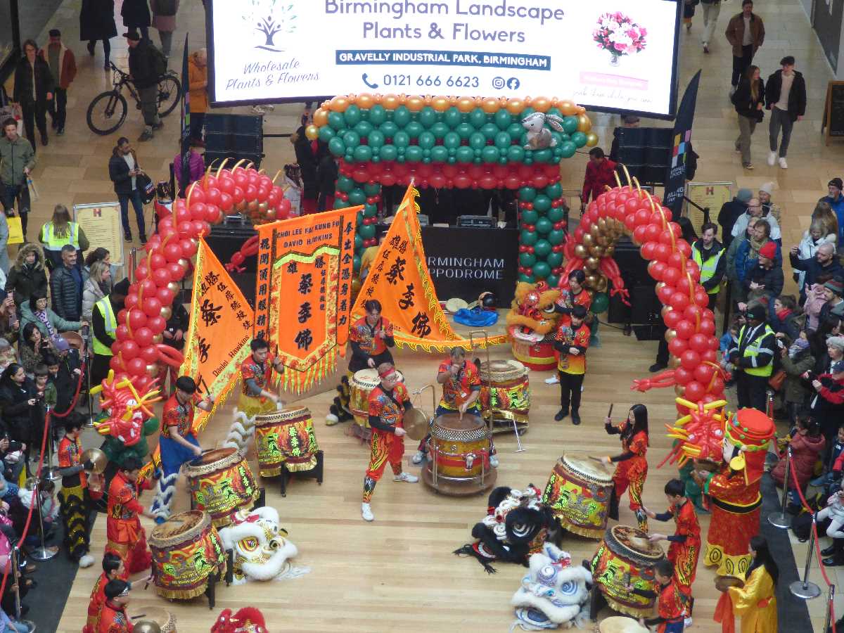 Chinese Lion dance